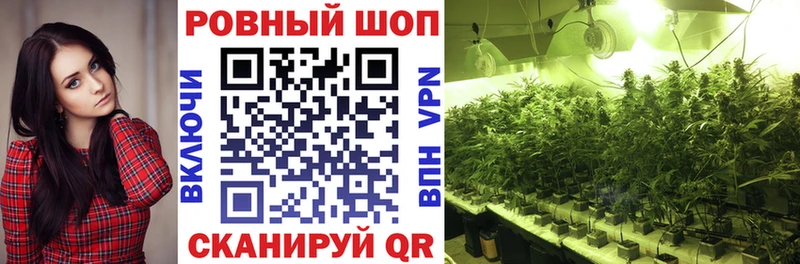 Хочу наркоту Елизово Галлюциногенные грибы  APVP  ГАШ  МЕФ  COCAIN 
