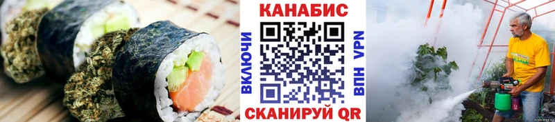 Canna-Cookies марихуана  купить закладку  Елизово 
