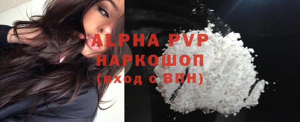 амф Верея