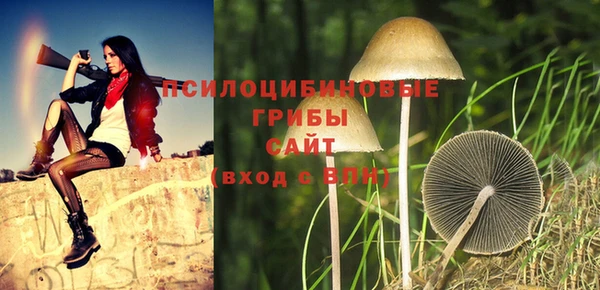 кокаин перу Вяземский