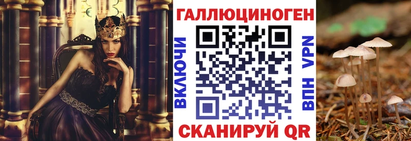 МЕГА зеркало  Елизово  Псилоцибиновые грибы мицелий  купить наркоту 